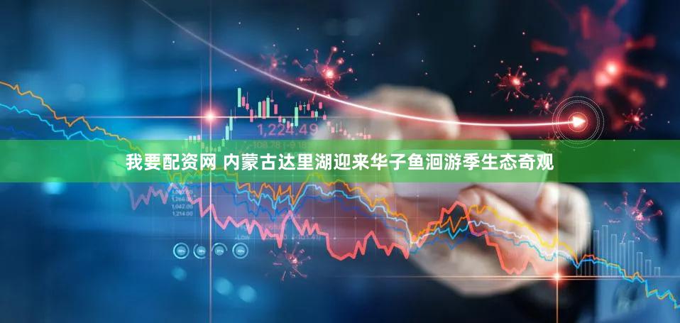 我要配资网 内蒙古达里湖迎来华子鱼洄游季生态奇观