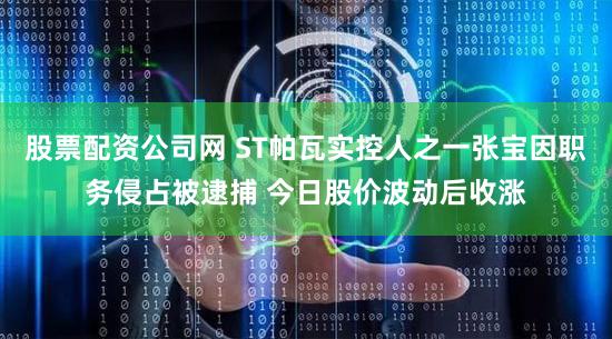 股票配资公司网 ST帕瓦实控人之一张宝因职务侵占被逮捕 今日股价波动后收涨