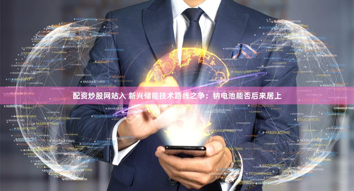 配资炒股网站入 新兴储能技术路线之争：钠电池能否后来居上