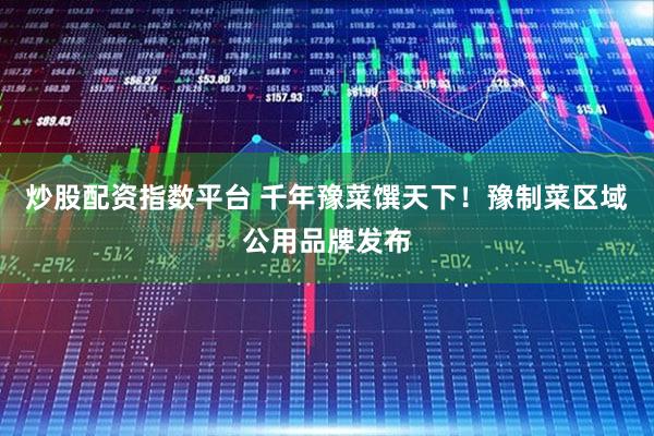 炒股配资指数平台 千年豫菜馔天下！豫制菜区域公用品牌发布