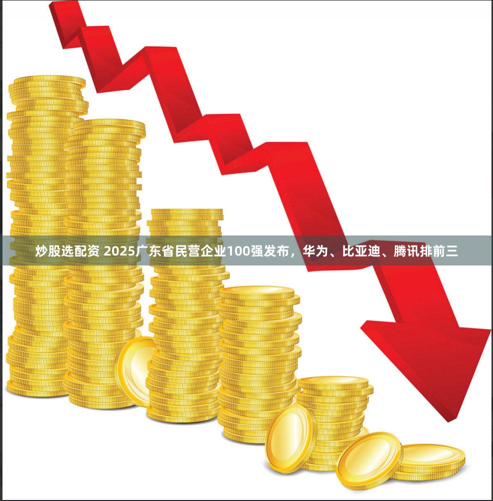 炒股选配资 2025广东省民营企业100强发布，华为、比亚迪、腾讯排前三