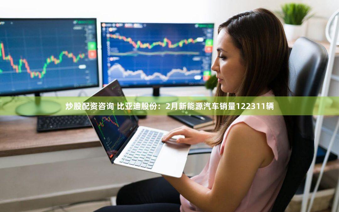 炒股配资咨询 比亚迪股份：2月新能源汽车销量122311辆
