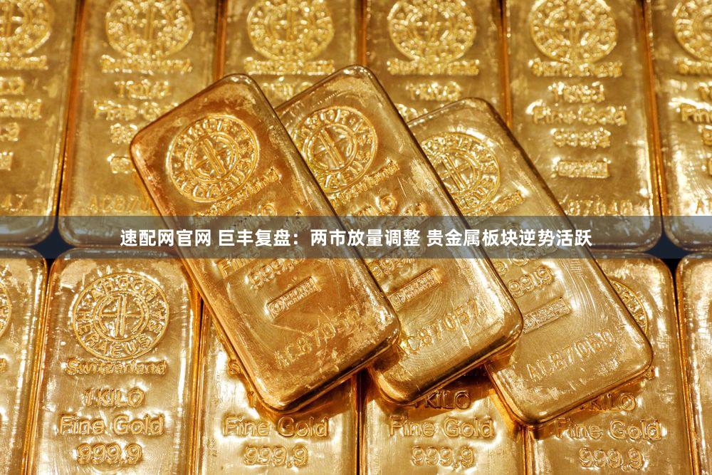 速配网官网 巨丰复盘：两市放量调整 贵金属板块逆势活跃