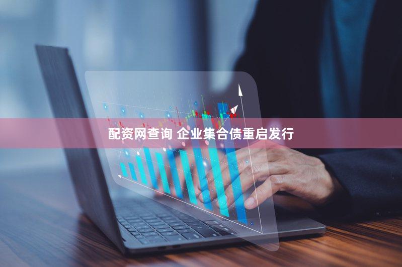 配资网查询 企业集合债重启发行