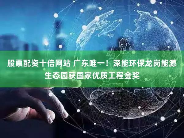 股票配资十倍网站 广东唯一!深能环保龙岗能源生态园获国家优质工程金奖