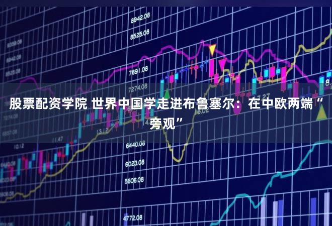 股票配资学院 世界中国学走进布鲁塞尔:在中欧两端“旁观”