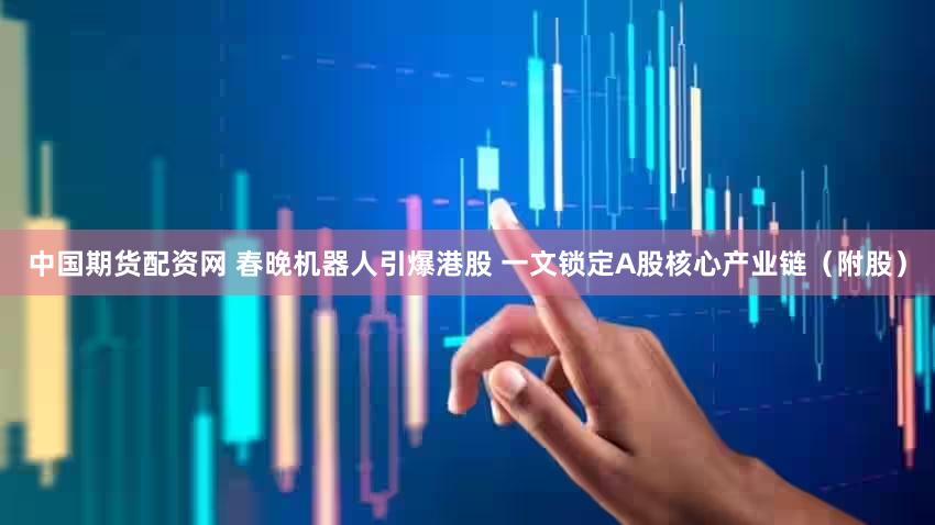 中国期货配资网 春晚机器人引爆港股 一文锁定A股核心产业链(附股)
