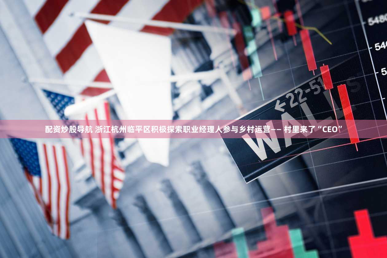 配资炒股导航 浙江杭州临平区积极探索职业经理人参与乡村运营—— 村里来了“CEO”